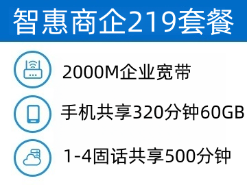 智惠商企219套餐
