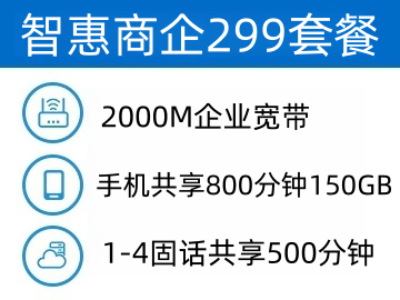 智惠商企299套餐
